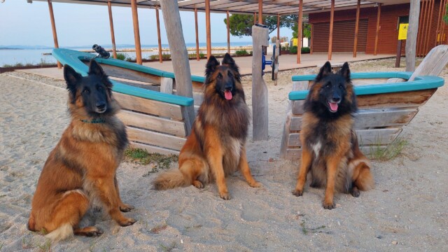 2025 Kroatien, 'Unser' Strand